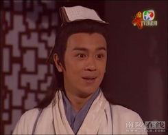 港版天龙八部演员表,经典角色再现江湖  第3张