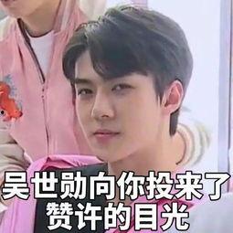 吴世勋表情包gif  第3张