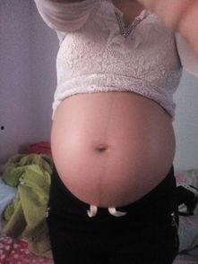 怀孕4个月的肚子图片,见证生命奇迹的美丽瞬间  第2张