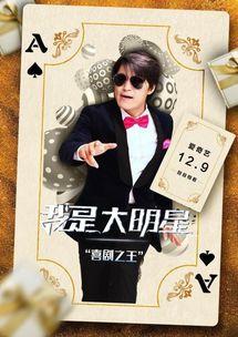 我是大明星 电影,追逐梦想的璀璨舞台 第2张 我是大明星 电影,追逐梦想的璀璨舞台 第2张