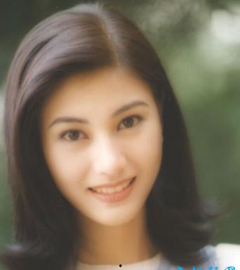 李嘉欣背景 图片,从香港名模到国际巨星,美丽背后的传奇人生 第2张 李嘉欣背景 图片,从香港名模到国际巨星,美丽背后的传奇人生 第2张
