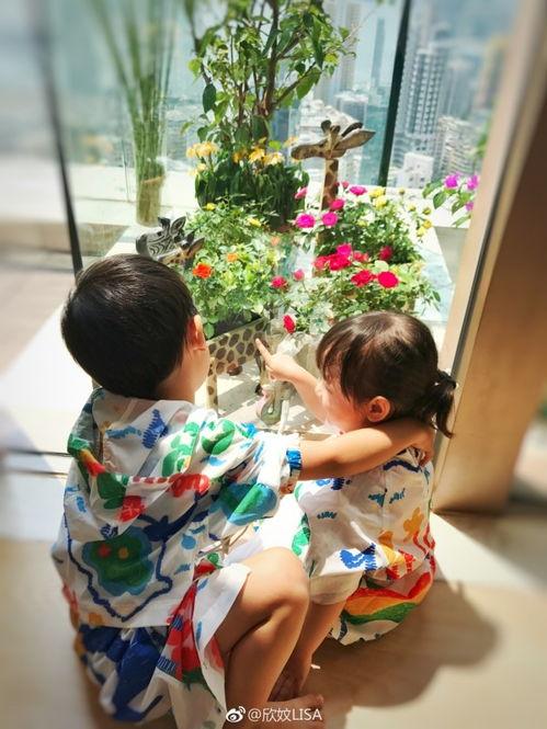 陈浩民全家福照片,幸福瞬间，温馨满溢  第3张