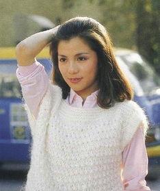 翁美玲香港娱乐圈遭遇,香港娱乐圈的璀璨流星与悲剧陨落  第2张