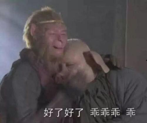 你真乖 表情包,萌态尽显，传递温馨情感