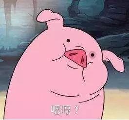 猪脑子图片,探寻动物大脑的奥秘  第3张