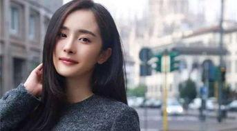 娱乐明星英雄,娱乐明星英雄传奇