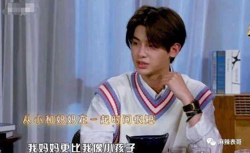 新二代明星  第3张