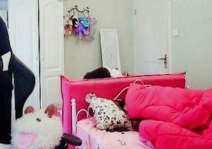 女主播节目动态图,揭秘直播间的魅力瞬间