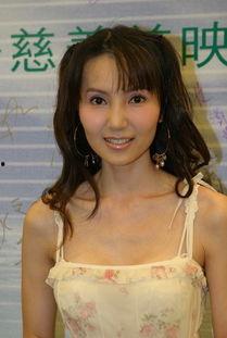 赵静仪 照片,镜头下的优雅与魅力